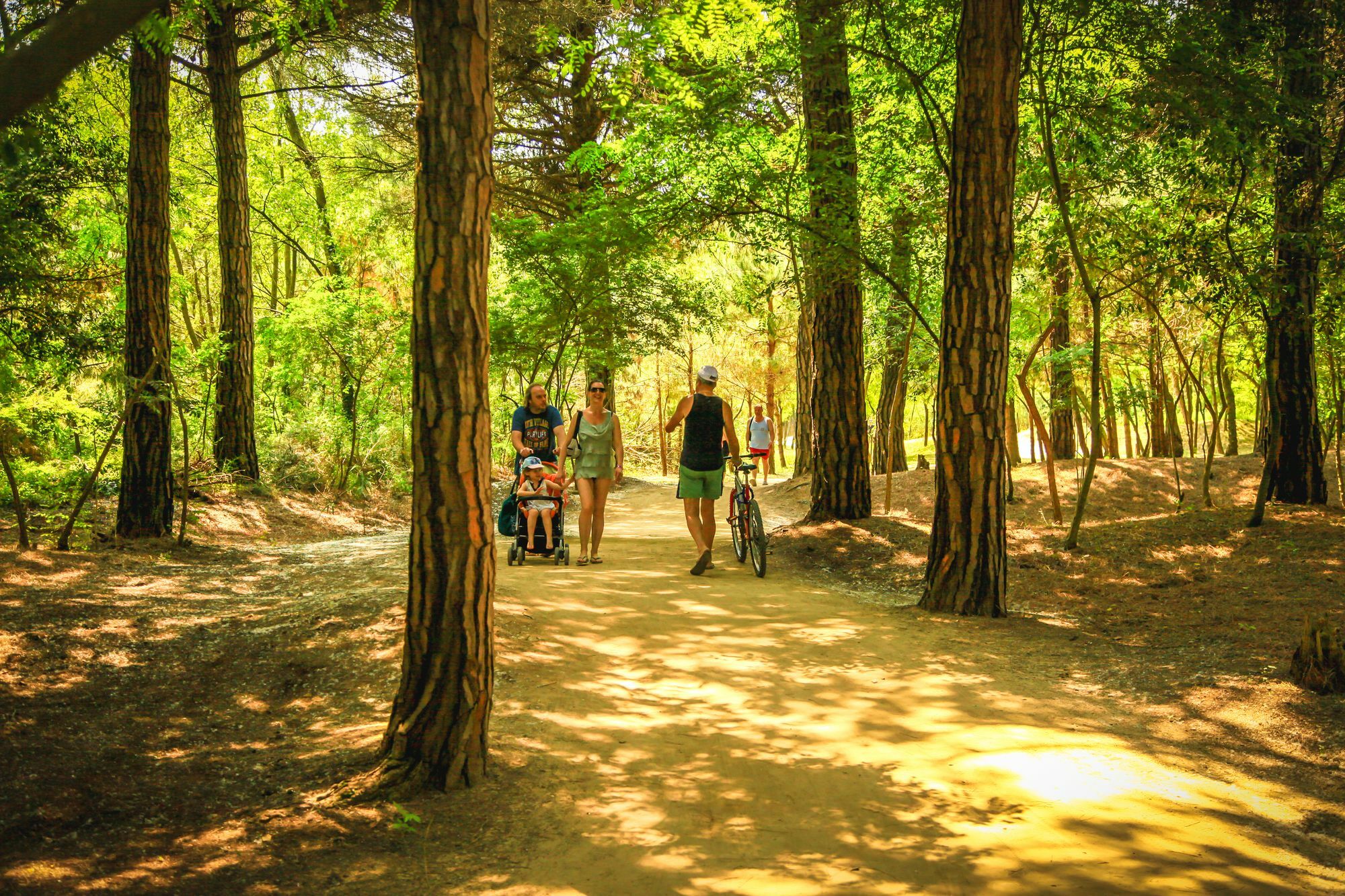 Parco Capraro Lido di Jesolo